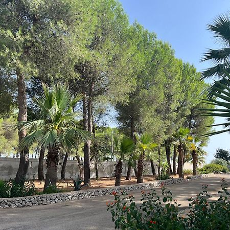 Casette Masseria La Camardia Sava Exterior foto