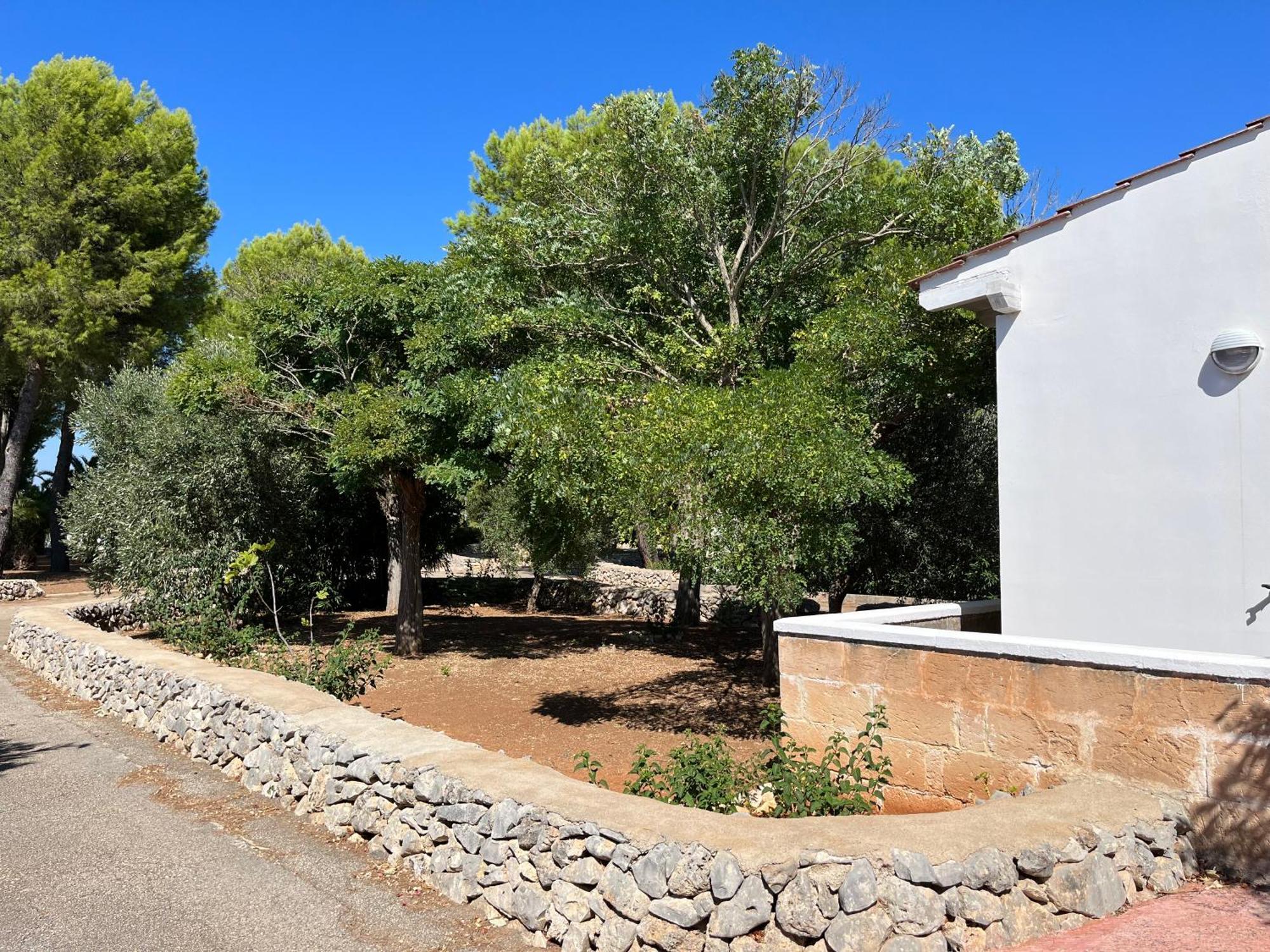 Casette Masseria La Camardia Sava Exterior foto